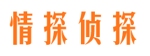 双滦侦探公司